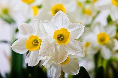 《足球经理2024》将于2023年11月7日隆重发布